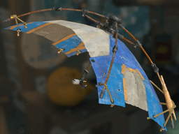 Tarp Brella icon